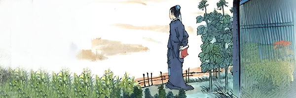 作品图片